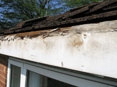 Fascia Board Rot