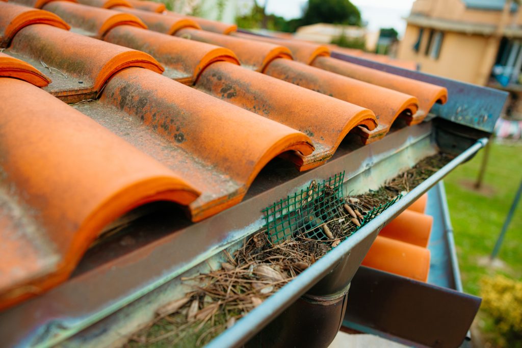 orange roof with gutter and leaf debris on it